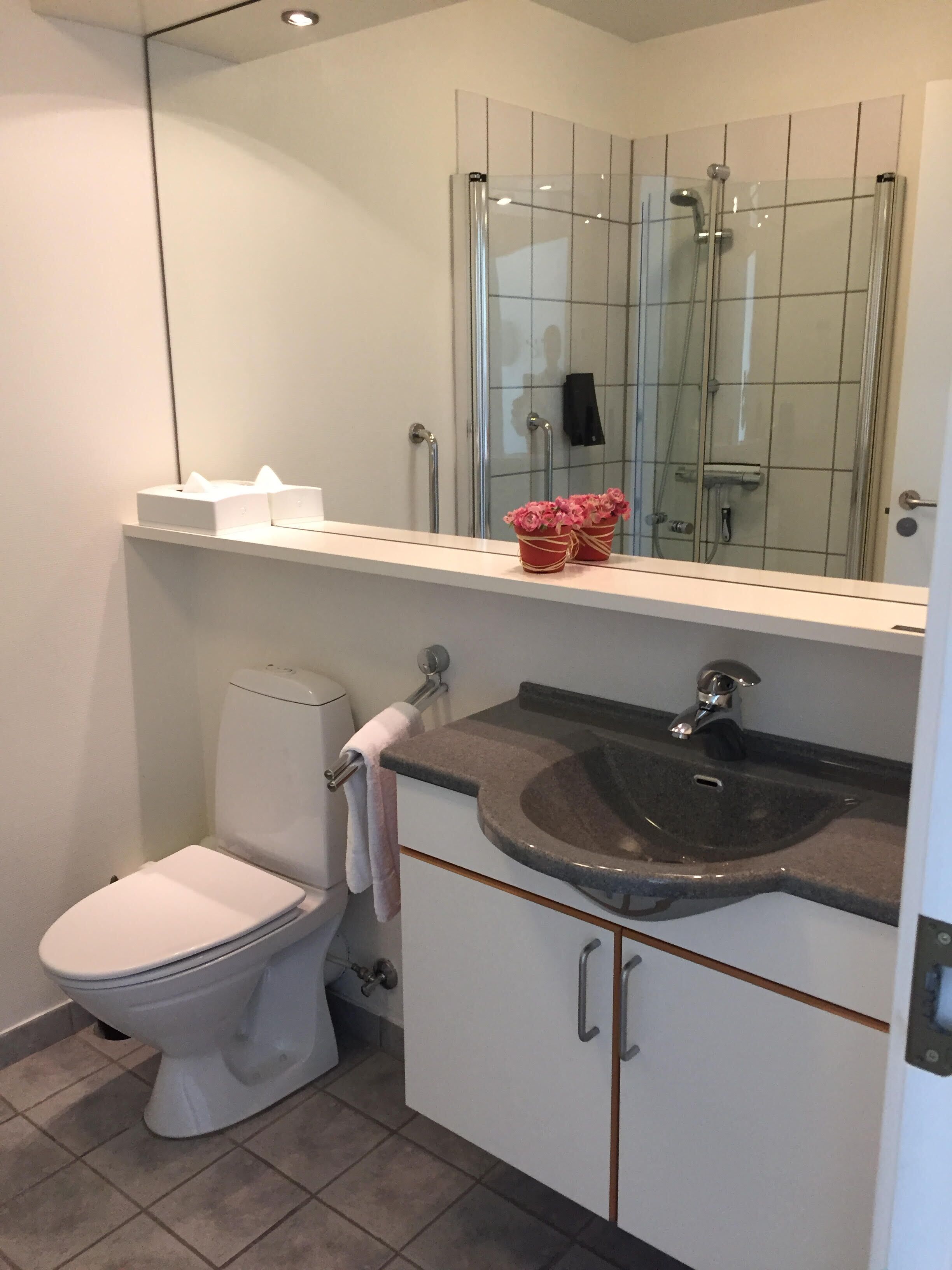 apartment, 2 bedrooms, accessible, bay view | bathroom | shower, free toiletries, towels