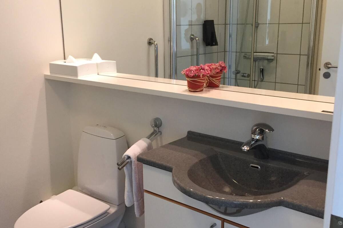 apartment, 2 bedrooms, accessible, bay view | bathroom | shower, free toiletries, towels