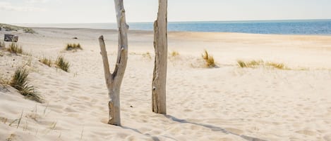 Una spiaggia nelle vicinanze