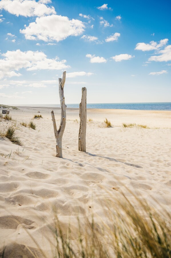 Nær stranden