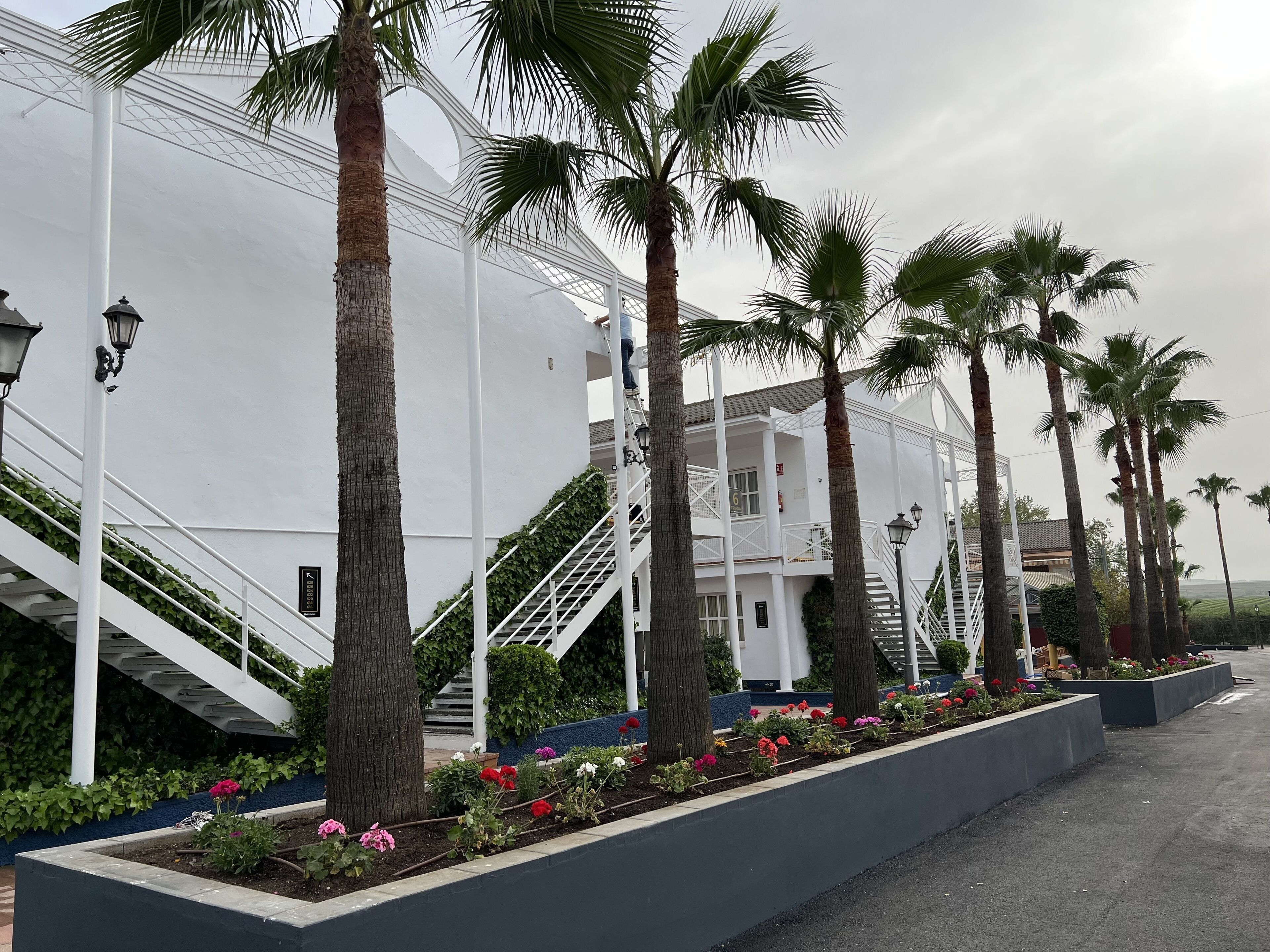 Un edificio con paredes exteriores blancas, una escalera y un jardín con palmeras y flores.