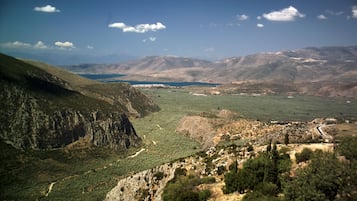 Vista desde la propiedad