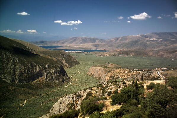 Vista desde la propiedad