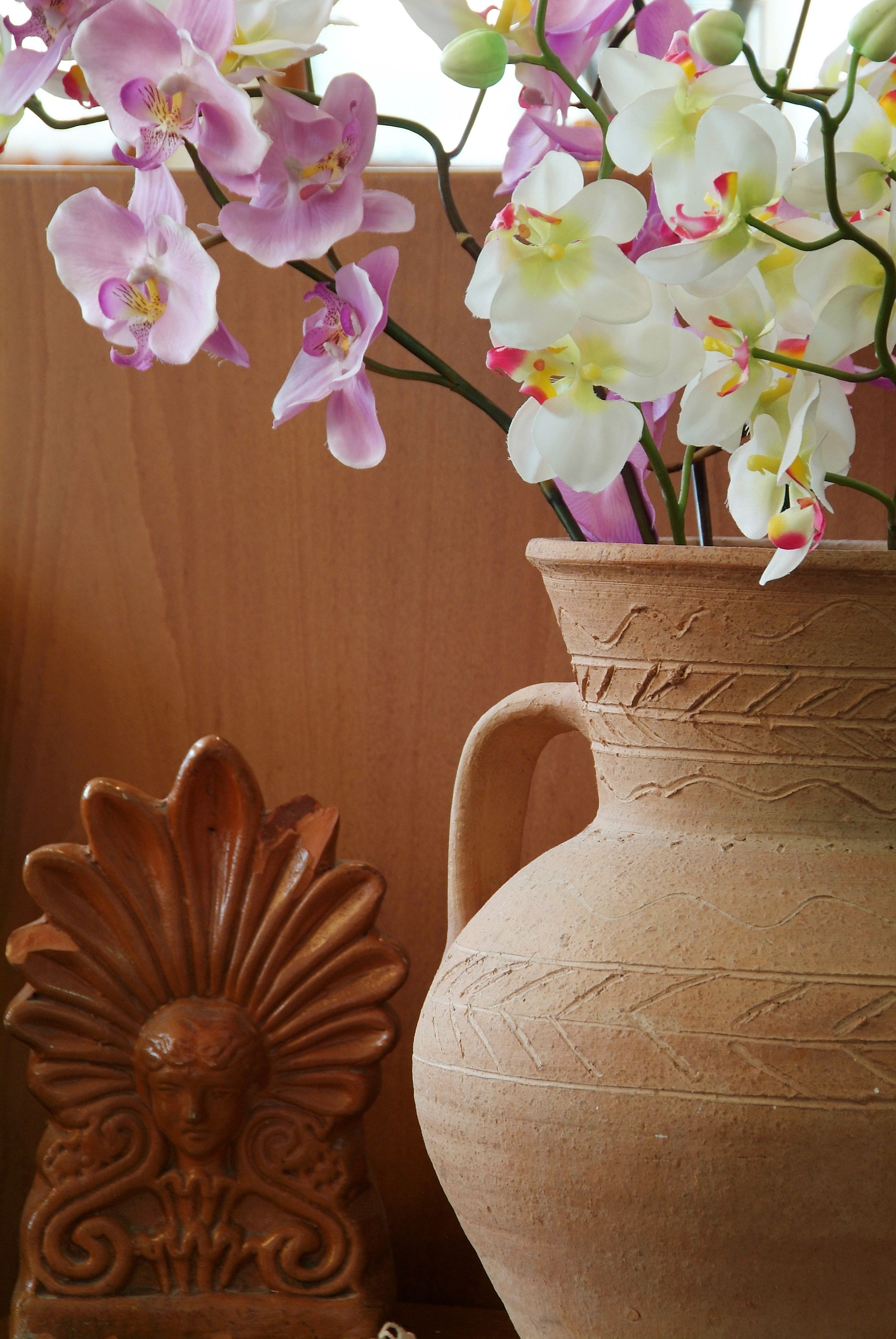 Photo - Acropole Delphi City Hotel