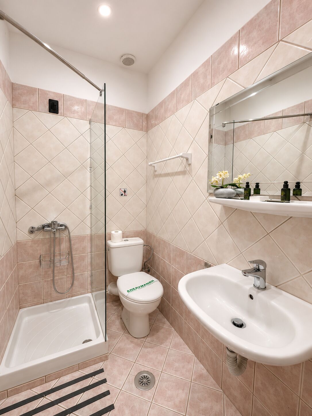 A modern bathroom with a glass shower enclosure, a toilet, a sink, and a mirror above the sink.