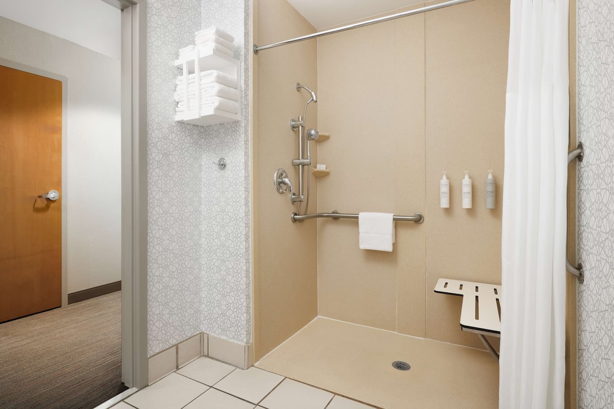 Room, 1 King Bed, Accessible (Roll In Shower) | Bathroom shower