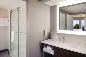 Bathroom shower - Hampton Inn & Suites Atlanta Airport North I-85 (Atlanta)