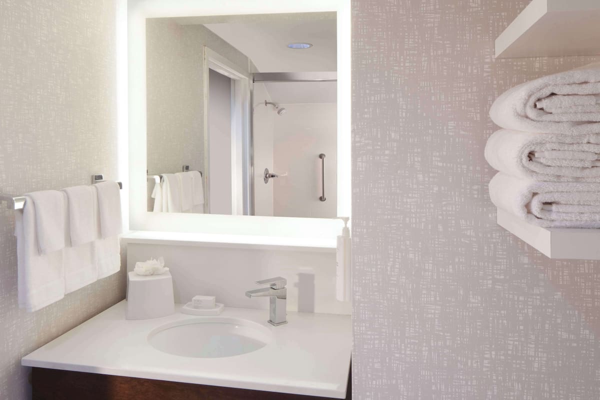 combined shower/bathtub, free toiletries, hair dryer, towels