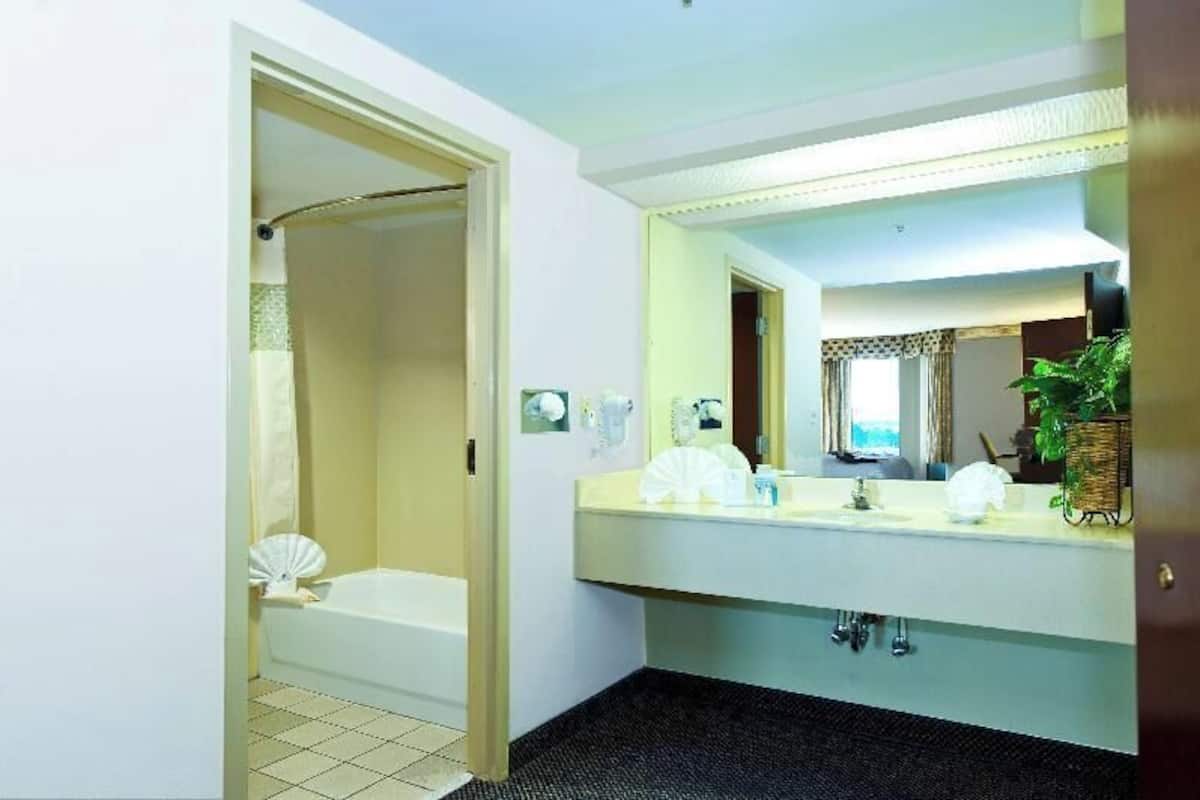 Tina con regadera, amenidades de baño gratuitas, secadora de cabello