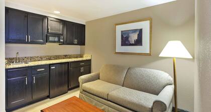 Hampton Inn Marietta