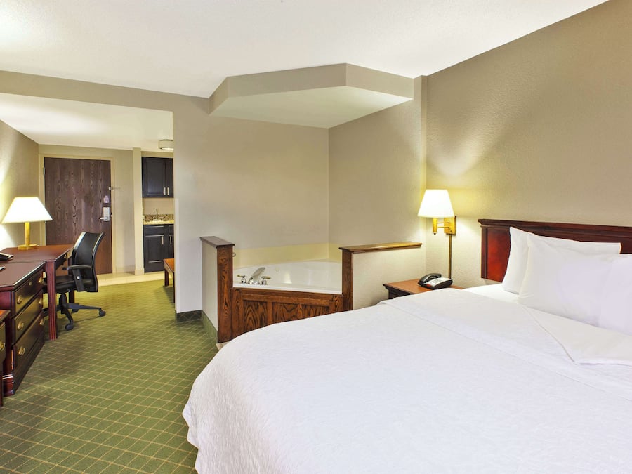 Suite, 1 King Bed | Free cribs/infant beds, free rollaway beds, free WiFi, bed sheets