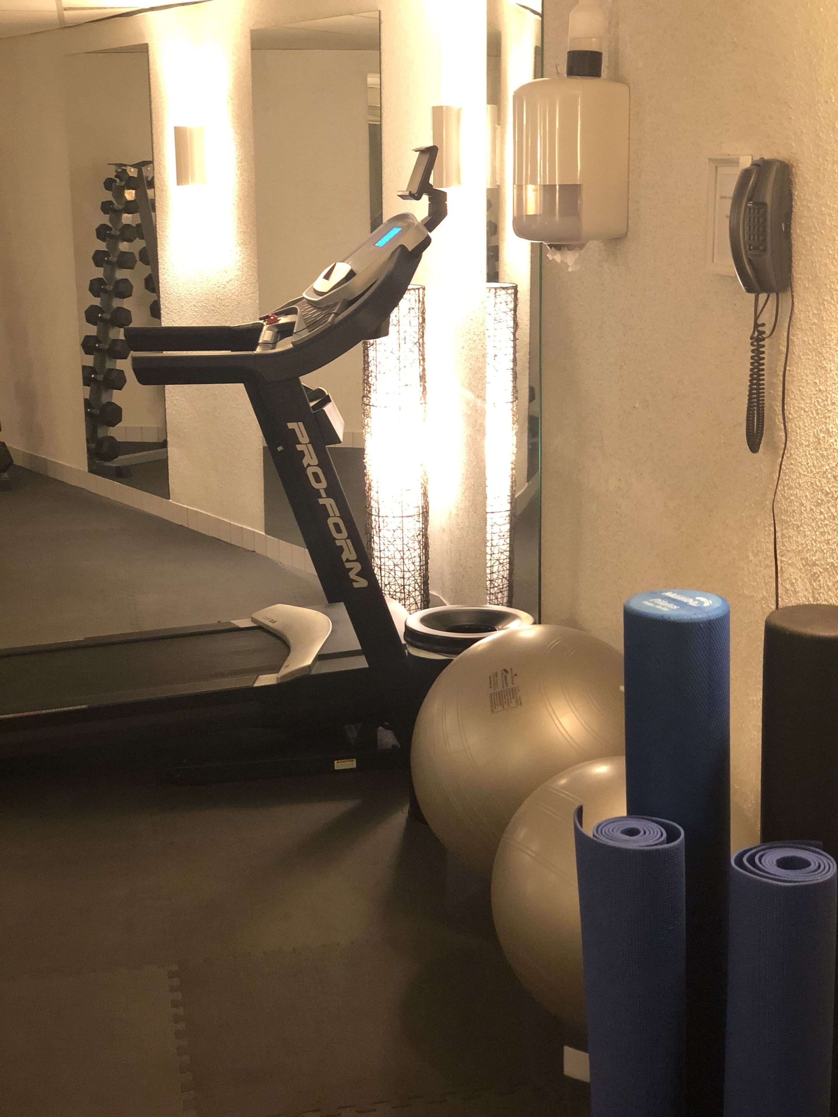 A gym with a Pro-Fit treadmill, exercise balls, and yoga mats.
