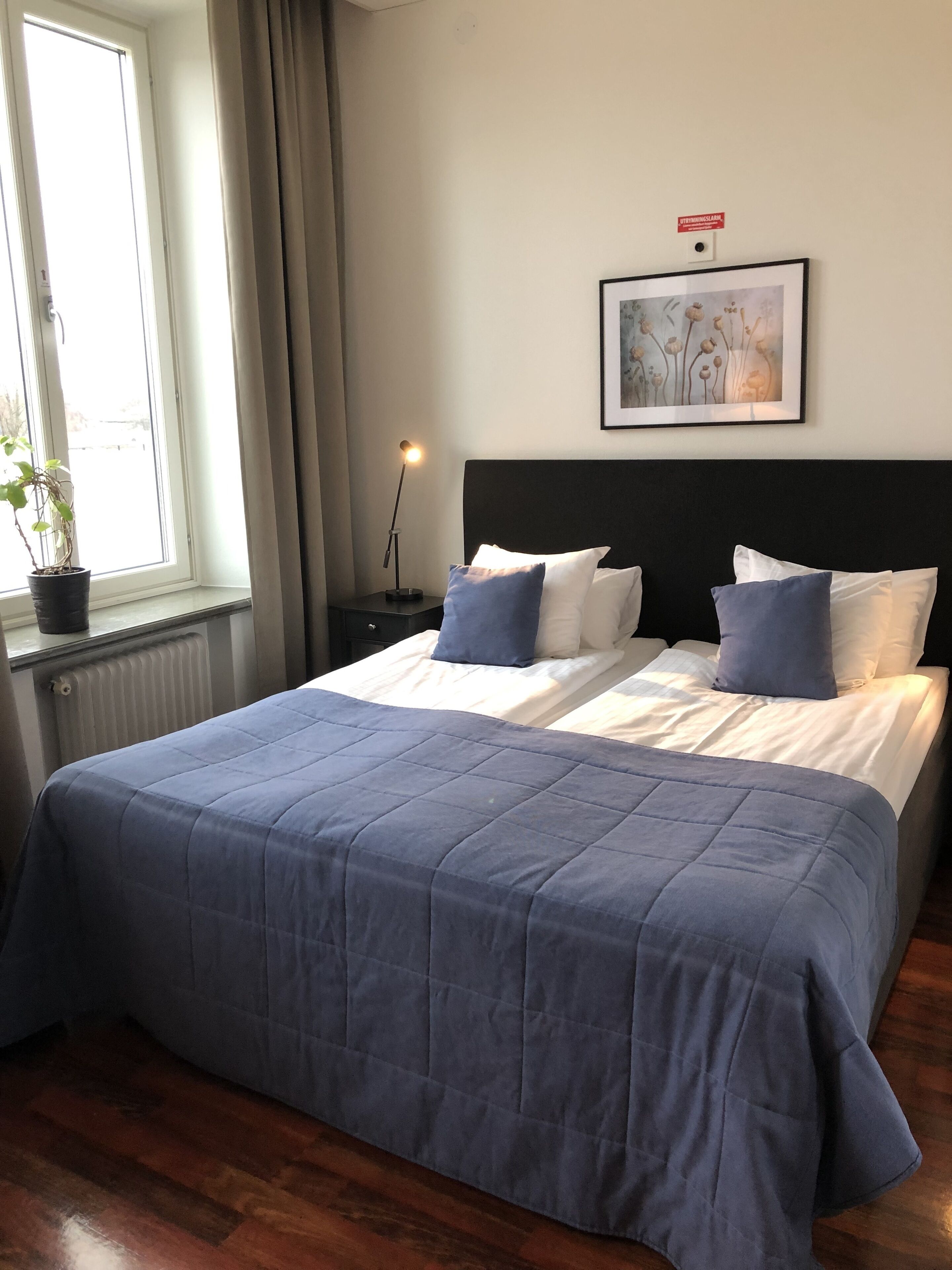 A neatly made bed with a blue bedspread, white pillows, and a black headboard. There is a framed artwork on the wall above the bed, and a potted plant on the windowsill.