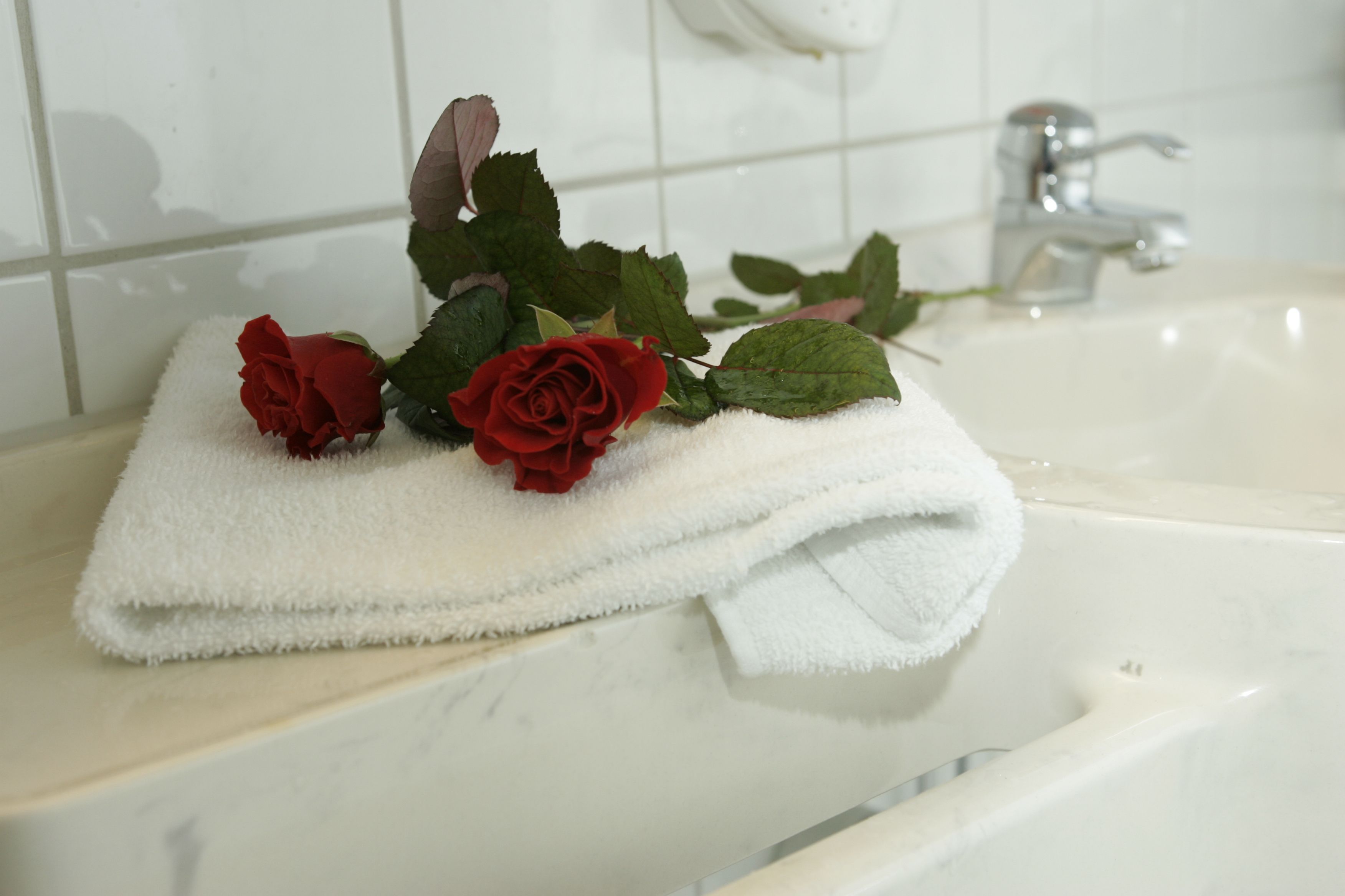 A white towel with red roses on a bathroom sink.
