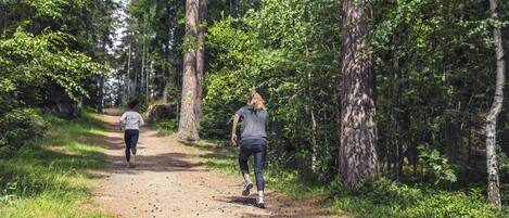 A dirt path in a forested area with tall trees on either side.