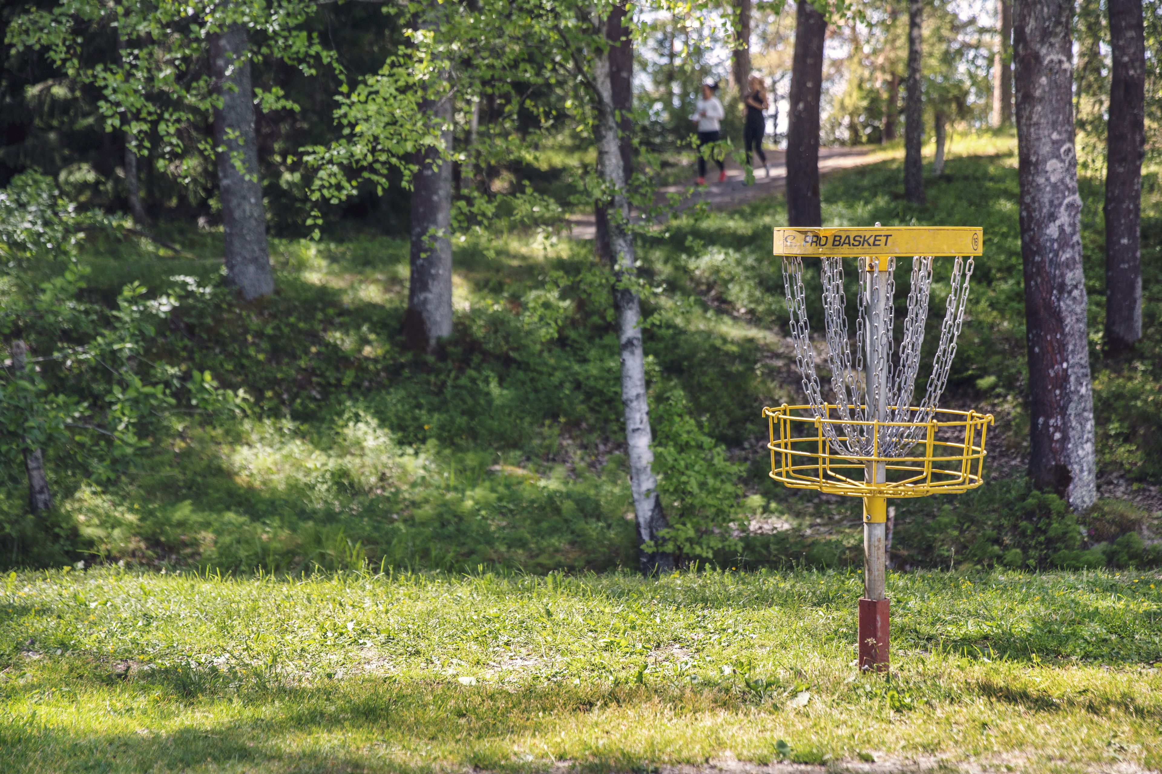 A disc golf basket with a yellow sign labeled "PRO BASKET" in a wooded park area.