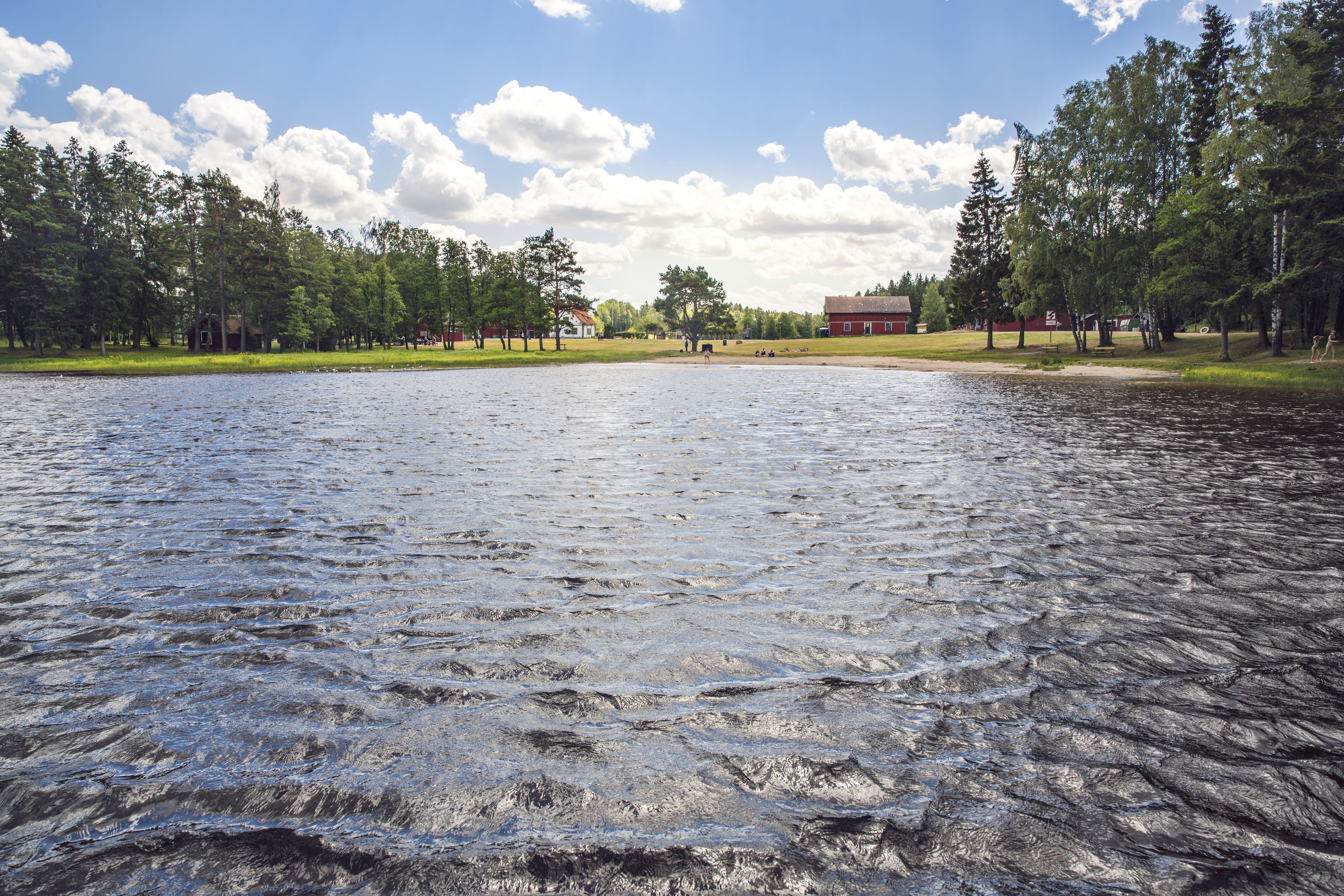 A lake with a wooden dock extending into the water, surrounded by trees and a red building in the background.