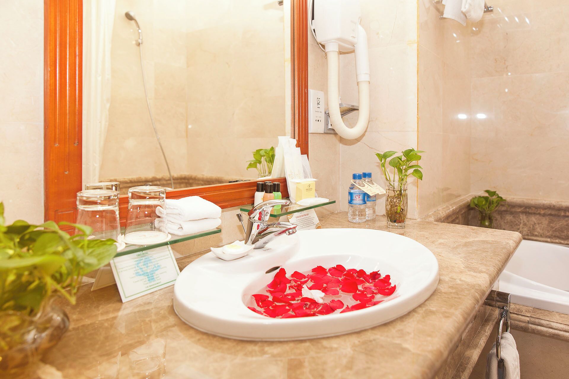 Ein Badezimmer mit einem weißen Waschbecken, einem Glasbehälter, einer Shampoo-Flasche, einem Glas Wasser und einer Topfpflanze.