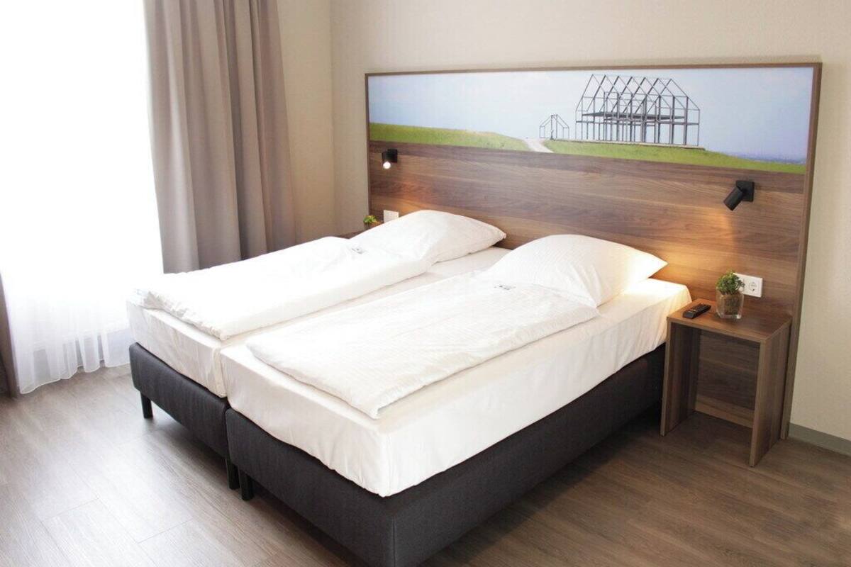 A double bed with white linens, a wooden headboard, bedside lamps, and a small bedside table with a plant.