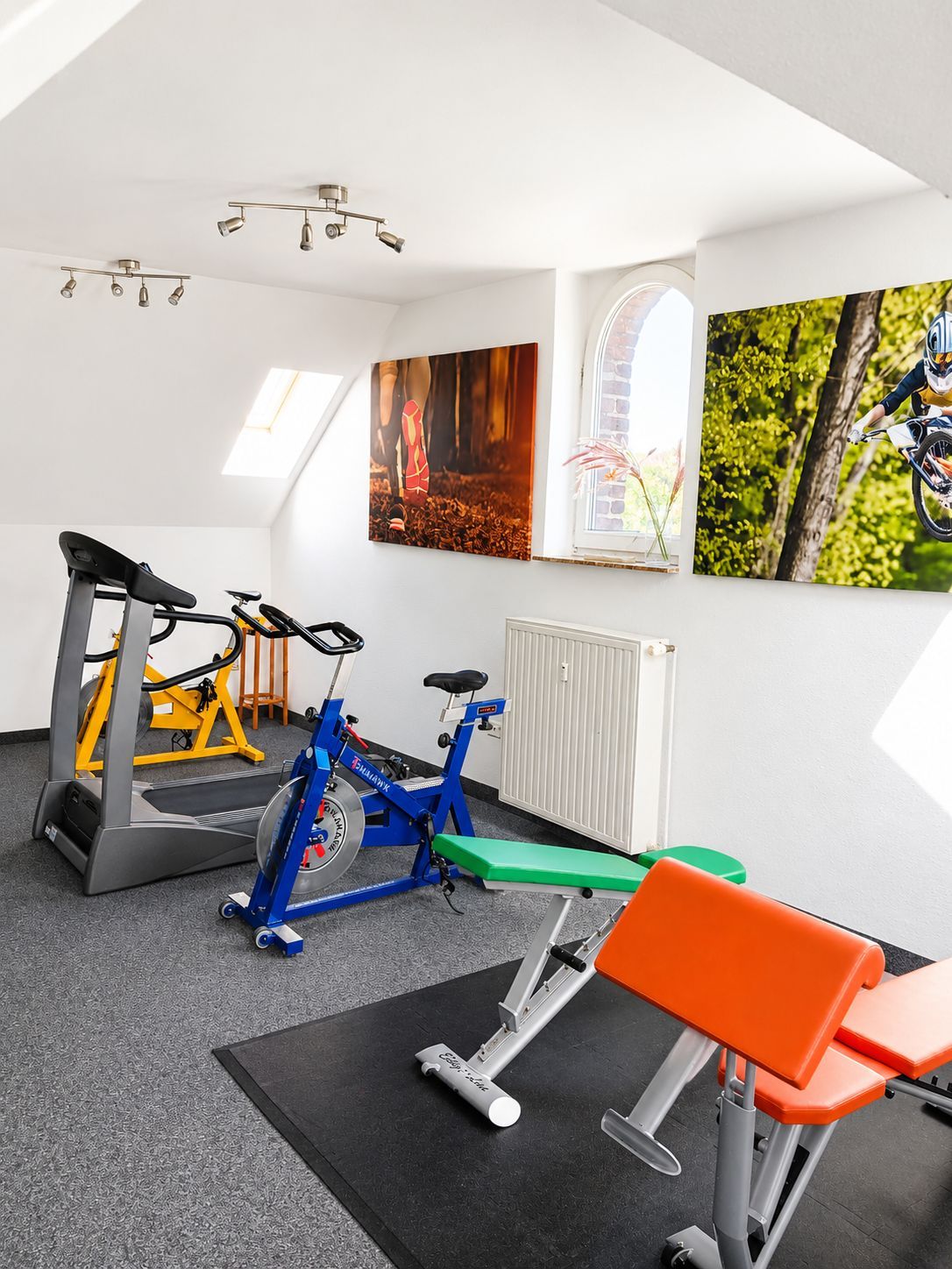 A gym with exercise equipment, a treadmill, a stationary bike, and a bench.