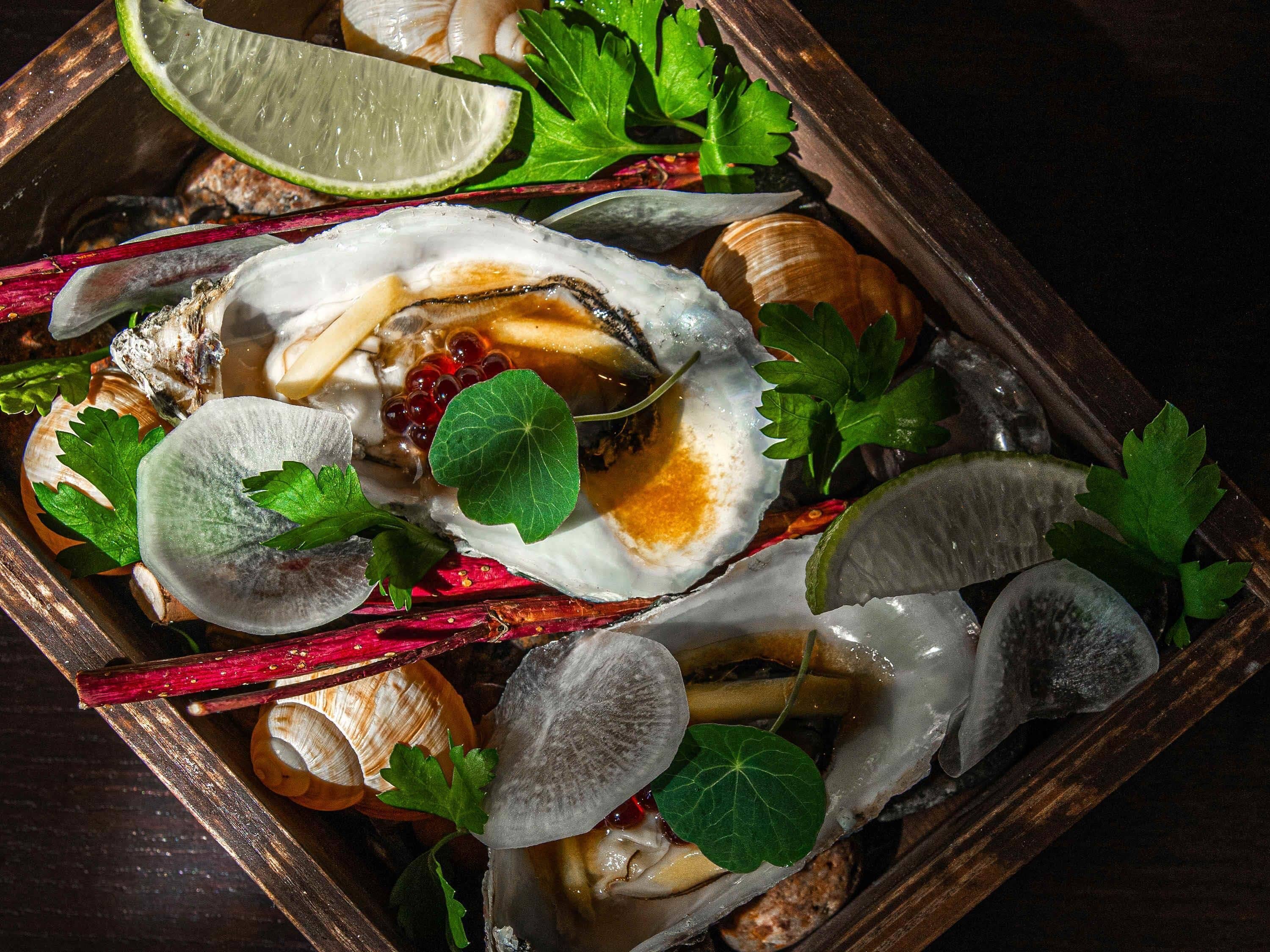 Foto - MERCURE KLAIPEDA CITY HOTEL, Meetings, Events, Restaurant & Bar - Accor Group, Pet Stay FREE