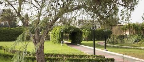 A landscaped garden with a pathway, a tree, and a hedge.