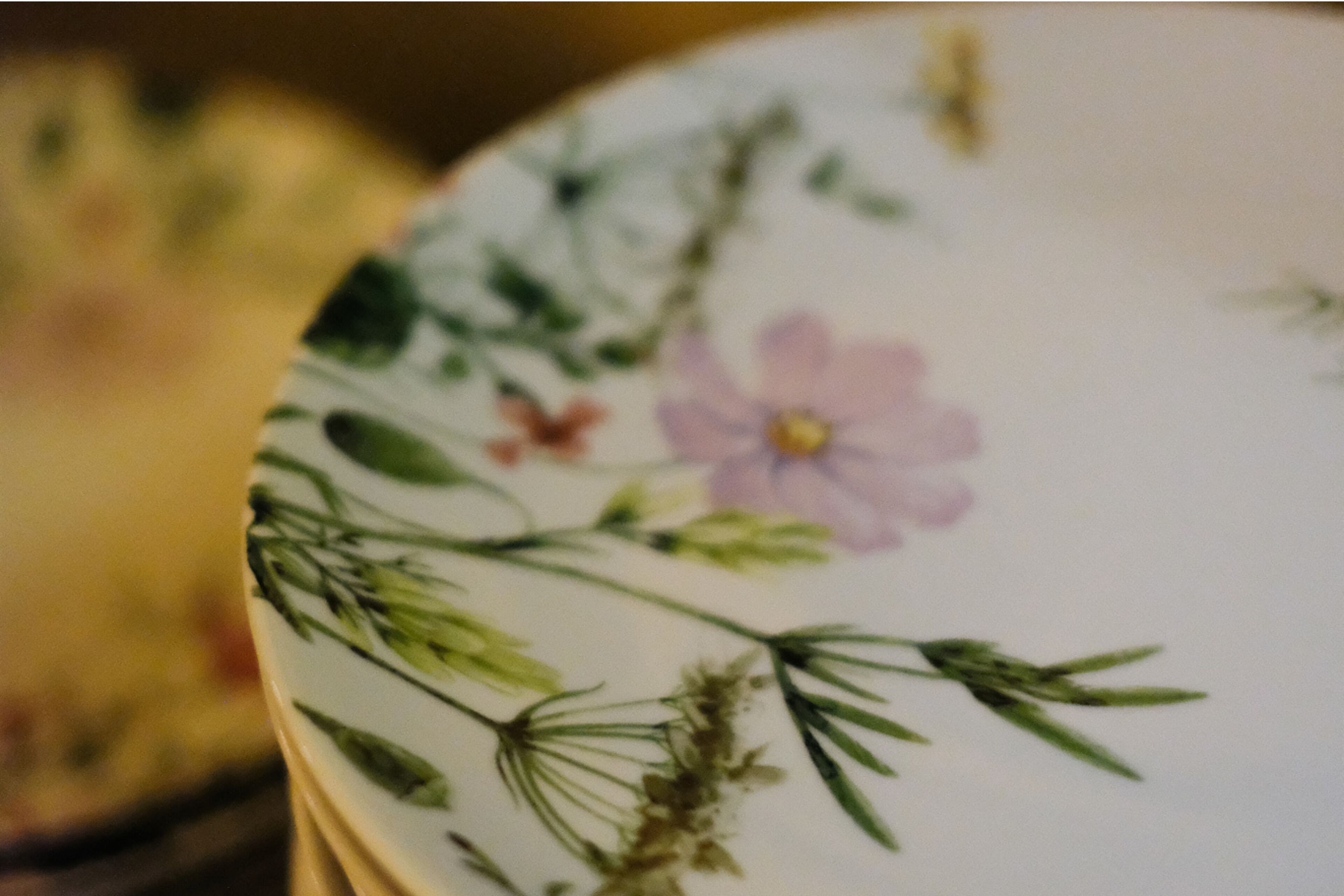 A close-up of a ceramic plate with floral and botanical designs.