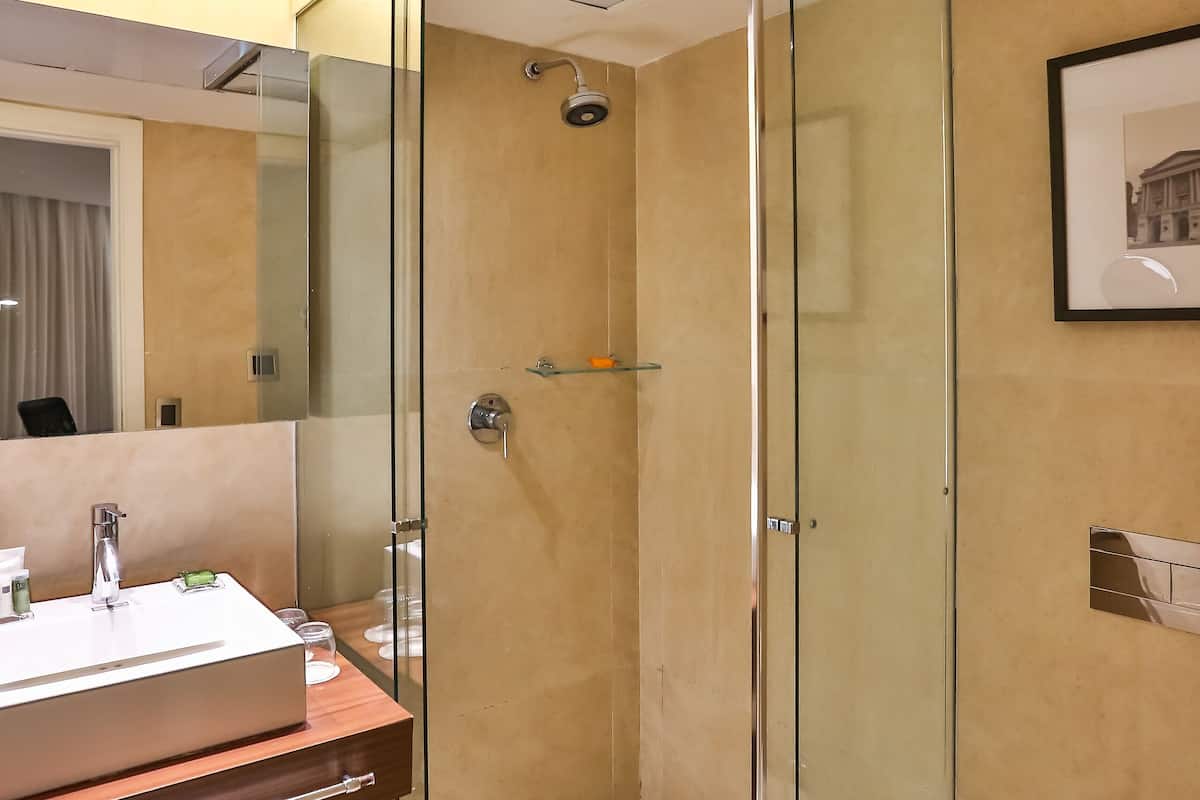 Een douche, gratis toiletartikelen, een haardroger, handdoeken