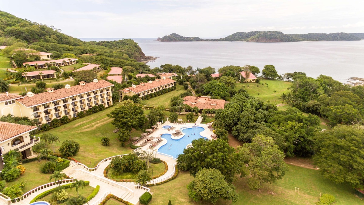 Occidental Papagayo - Adults Only - All inclusive Reviews, Deals
