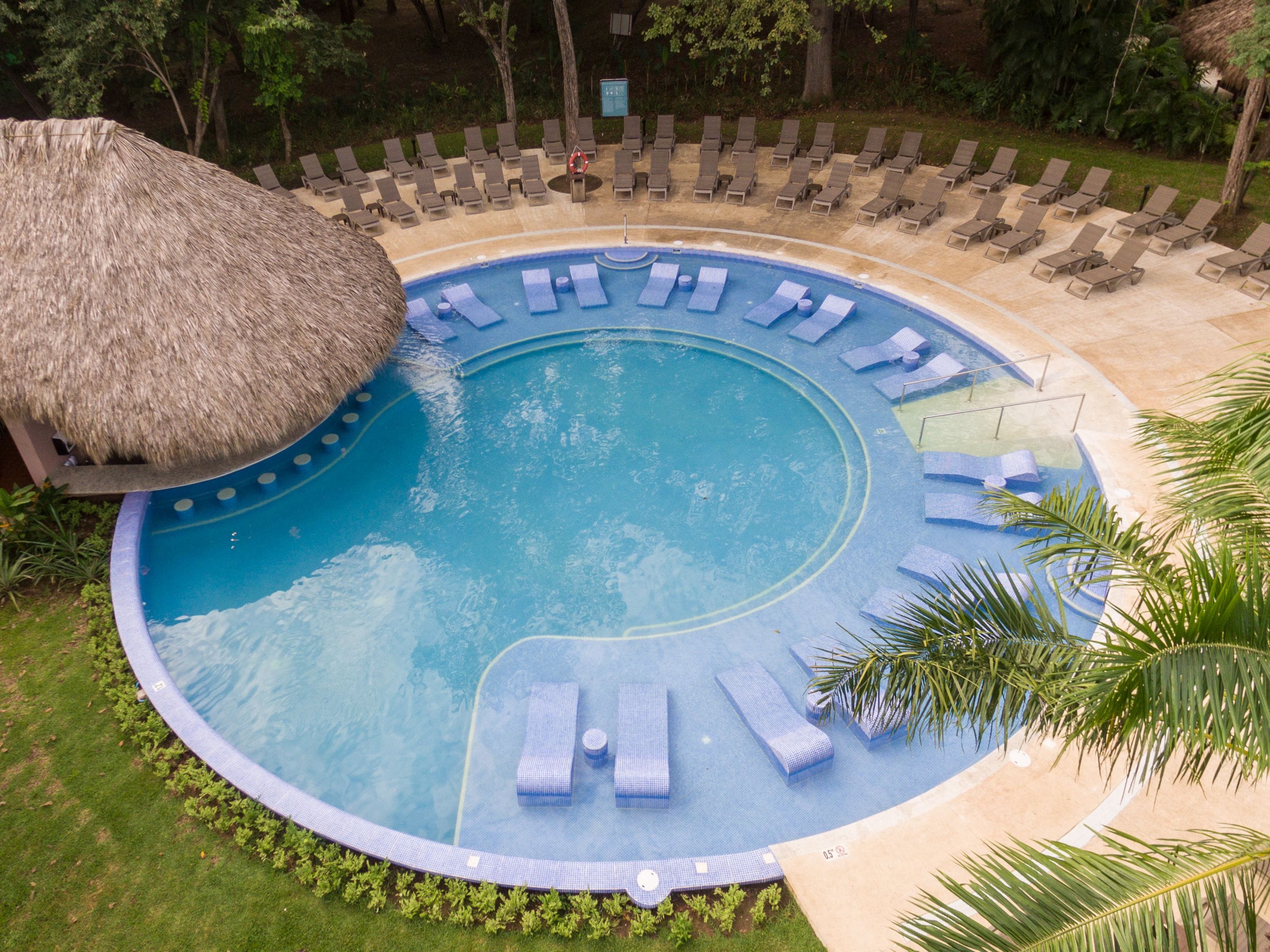 A circular pool with lounge chairs around it, a thatched roof structure, and a surrounding area with trees and greenery.
