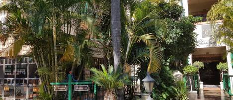 A courtyard with a reception area, a restaurant, and a building with a sign that reads "Courtyard Classic".