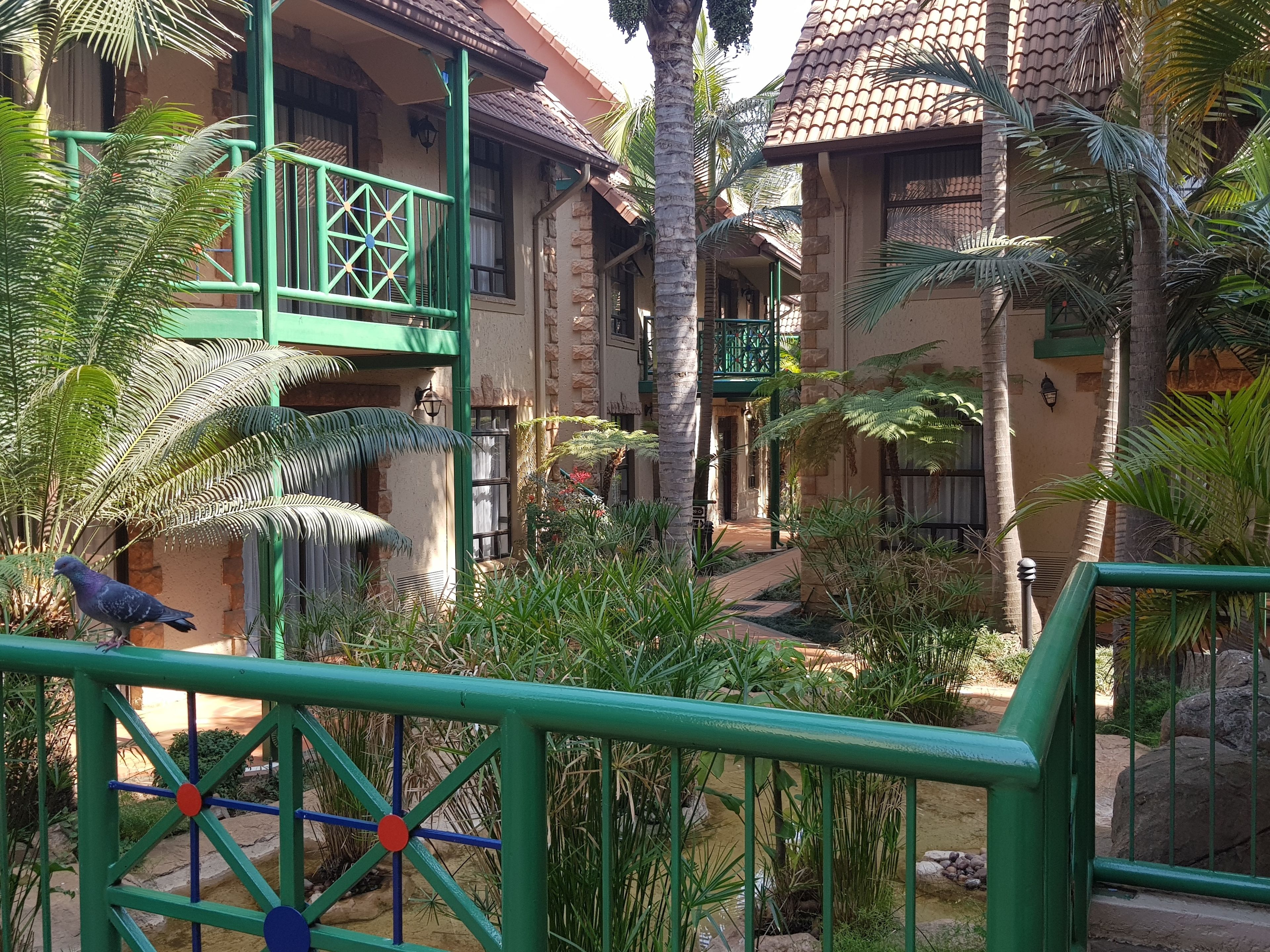 A courtyard with a green railing, palm trees, and a pigeon.