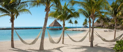 Una playa con palmeras, una construcción con techo de paja y un cielo azul despejado.