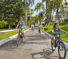 Un camino pavimentado con ciclistas, rodeado de palmeras y follaje.