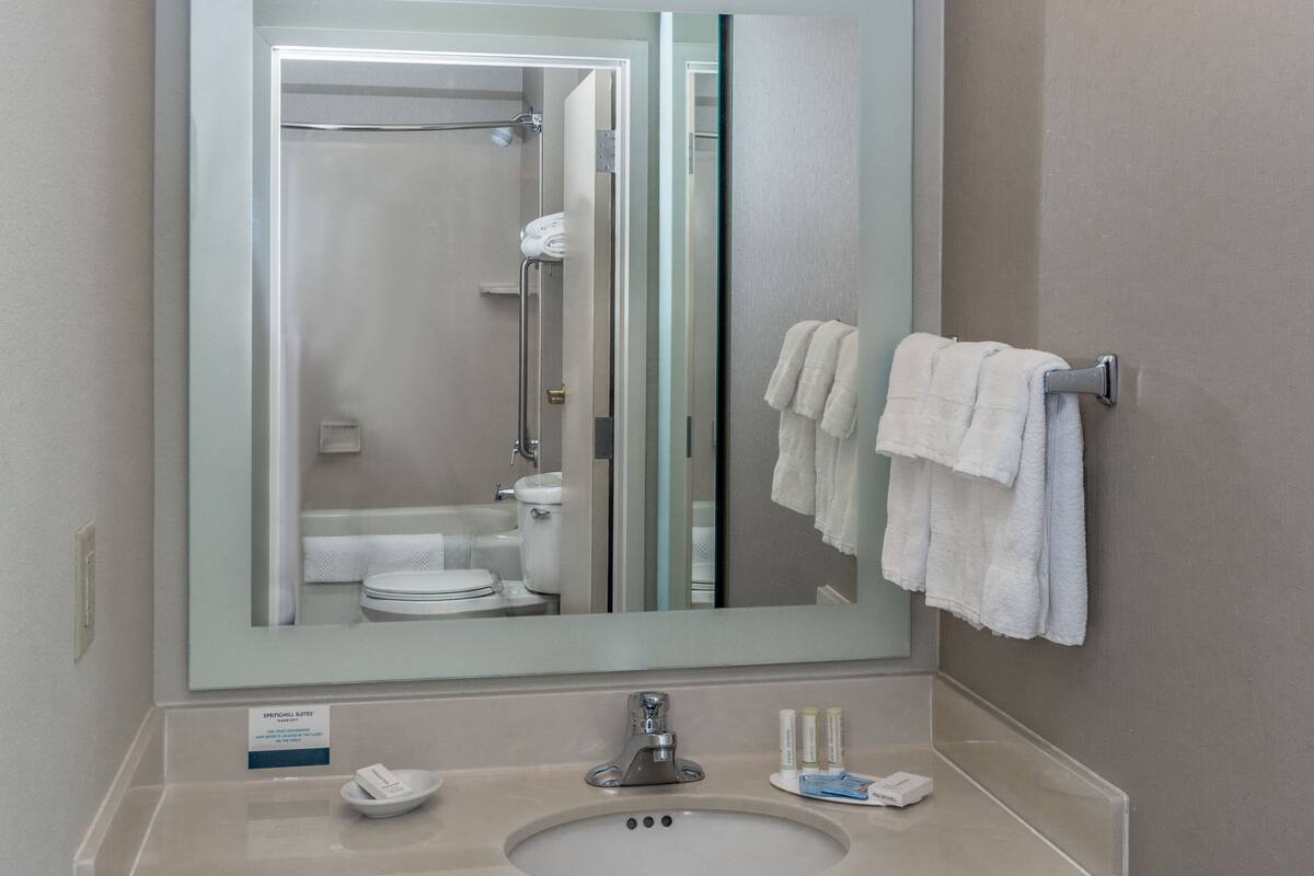 A bathroom with a large mirror, a sink, a towel rack, and a shower.
