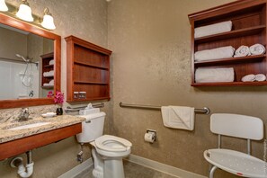 Standard Room, 1 Queen Bed, Accessible, Non Smoking | Bathroom sink - Best Western Plus Mentor-Cleveland Northeast (Mentor)