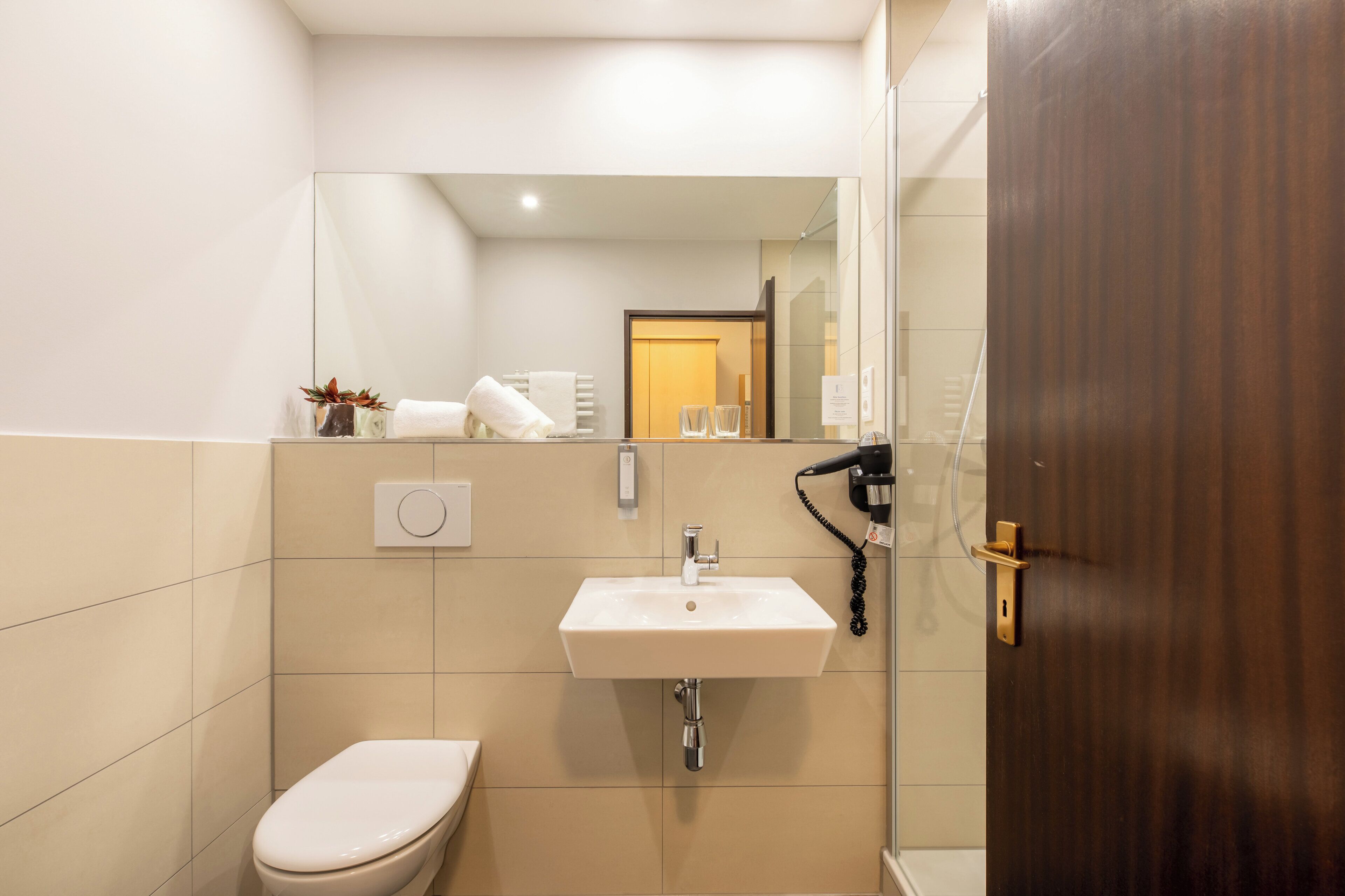 shower, free toiletries, hair dryer, towels