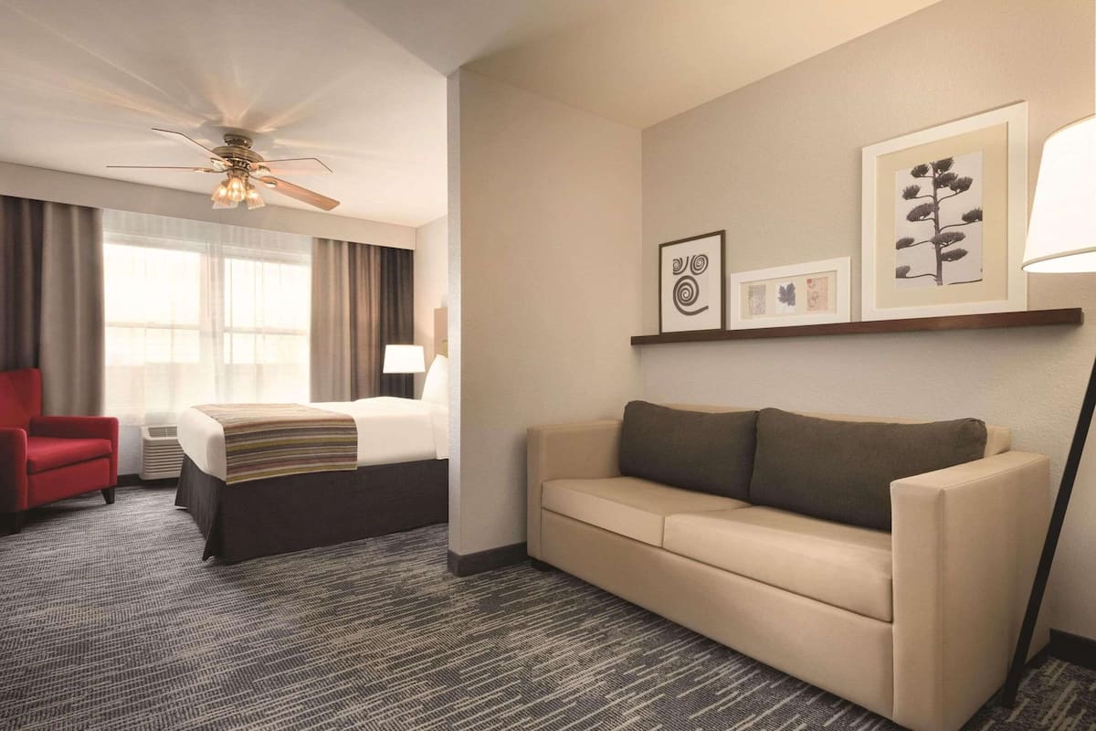 Suite studio, 1 grand lit et 1 canapé-lit, non-fumeur | Literie hypoallergénique, lit avec matelas à plateau-coussin, bureau