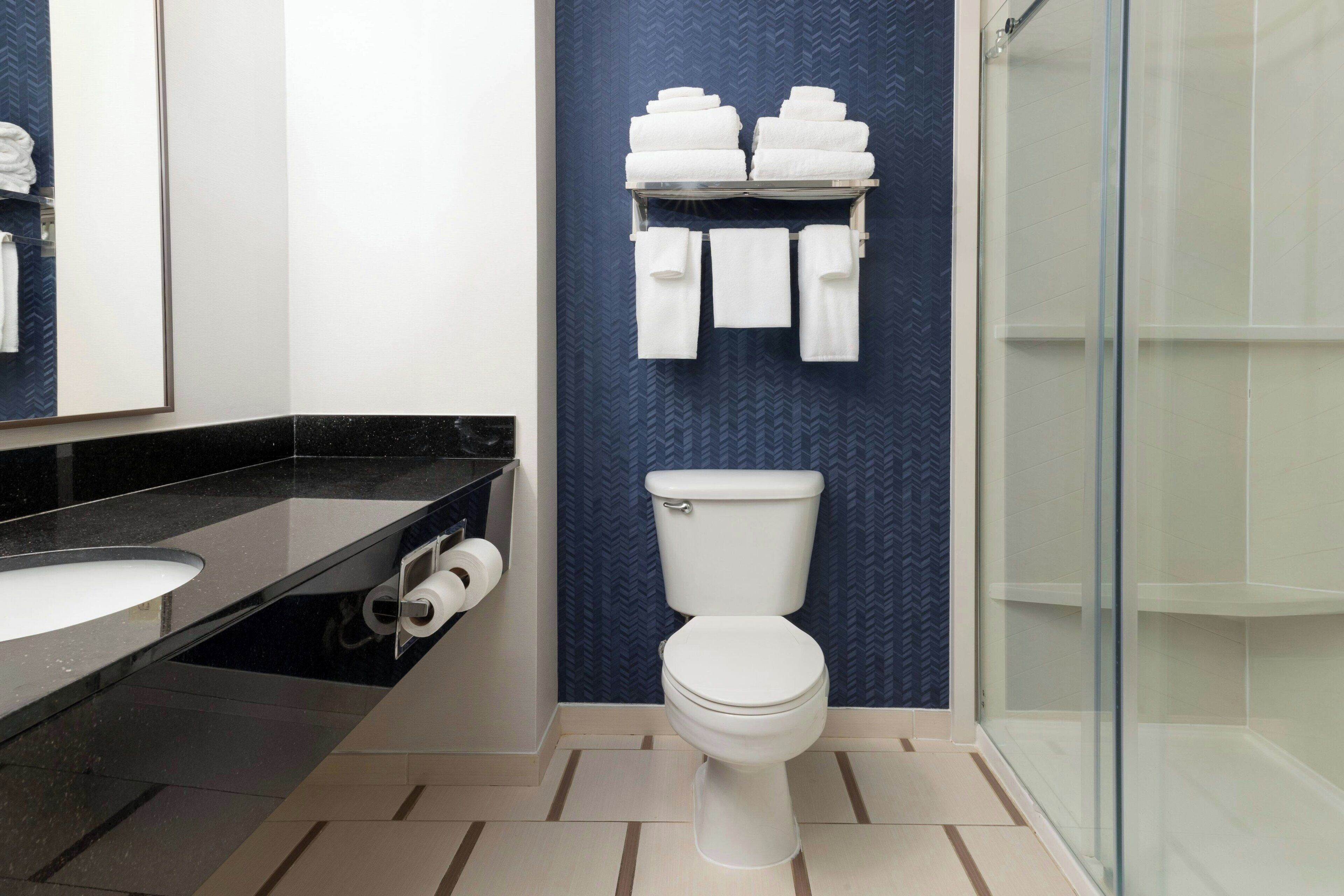 combined shower/bathtub, free toiletries, hair dryer, towels