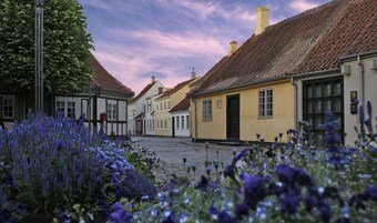 En brostensbelagt gade omkranset af traditionelle europæiske bygninger, hvoraf nogle har skorstene og andre forskellige arkitektoniske træk.