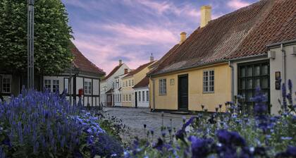 City Hotel Nattergalen