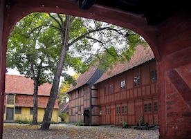 A courtyard with a large tree, a red brick building, and a yellow building with a tiled roof.