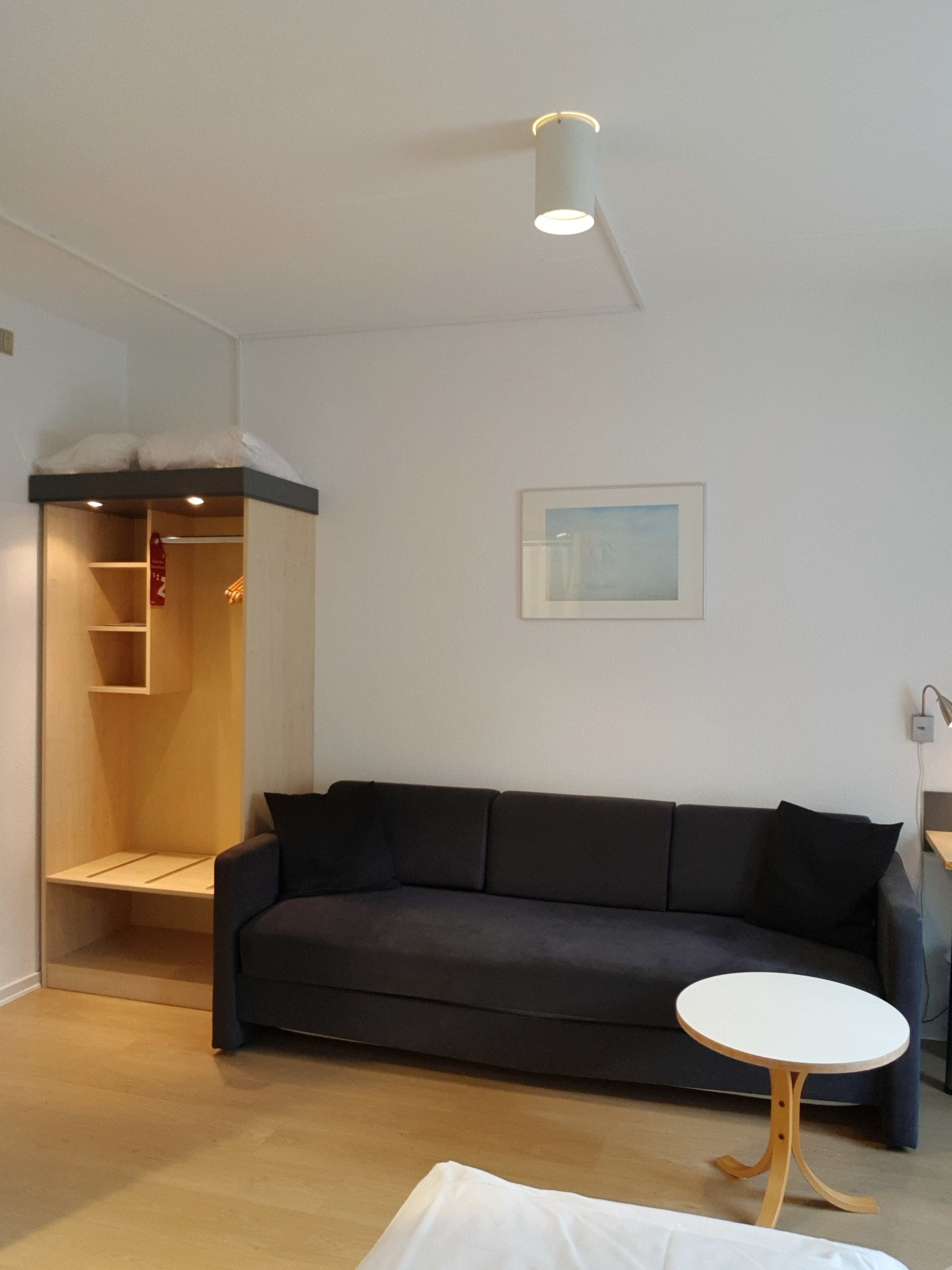 standard double room (with sleeping couch) | extra beds