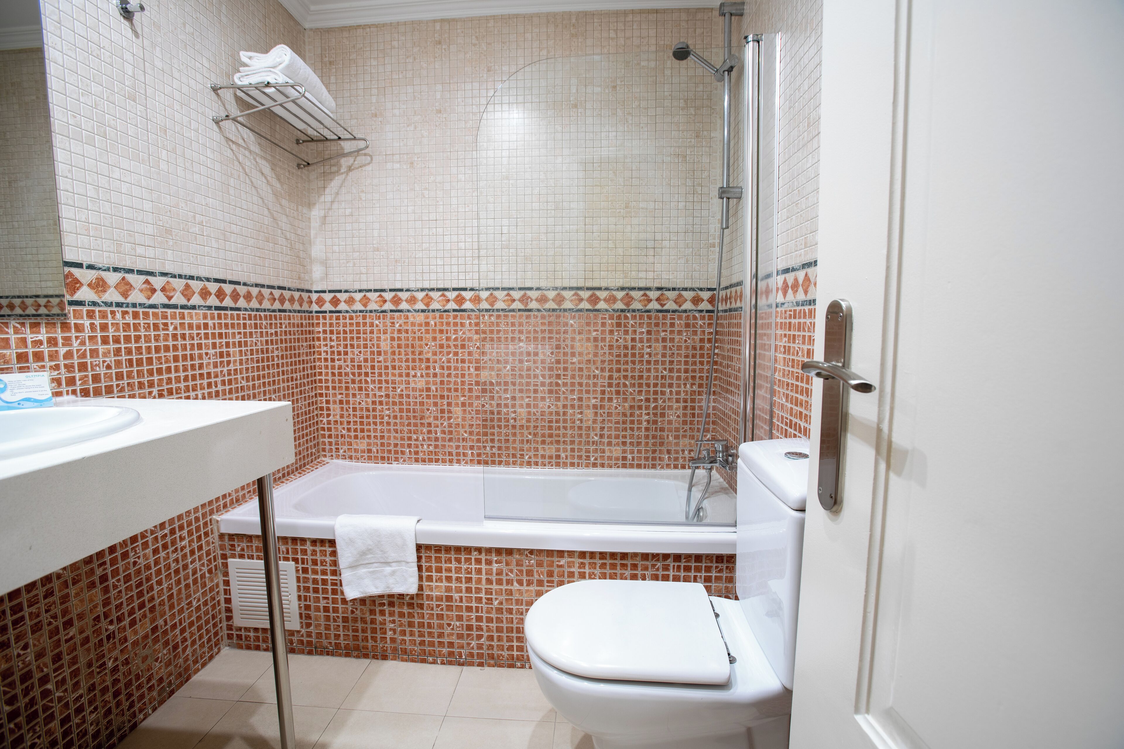 combined shower/bathtub, free toiletries, hair dryer, bidet