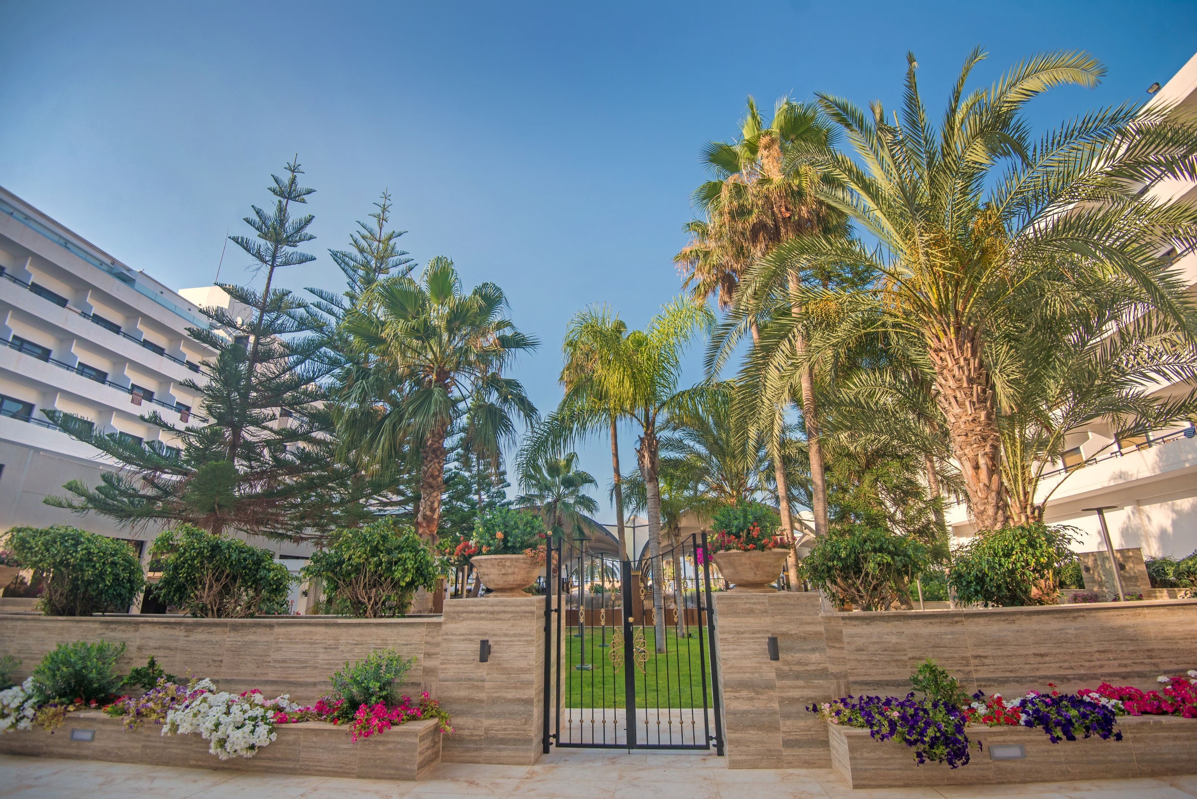 Foto - Adams Beach Hotel & Spa