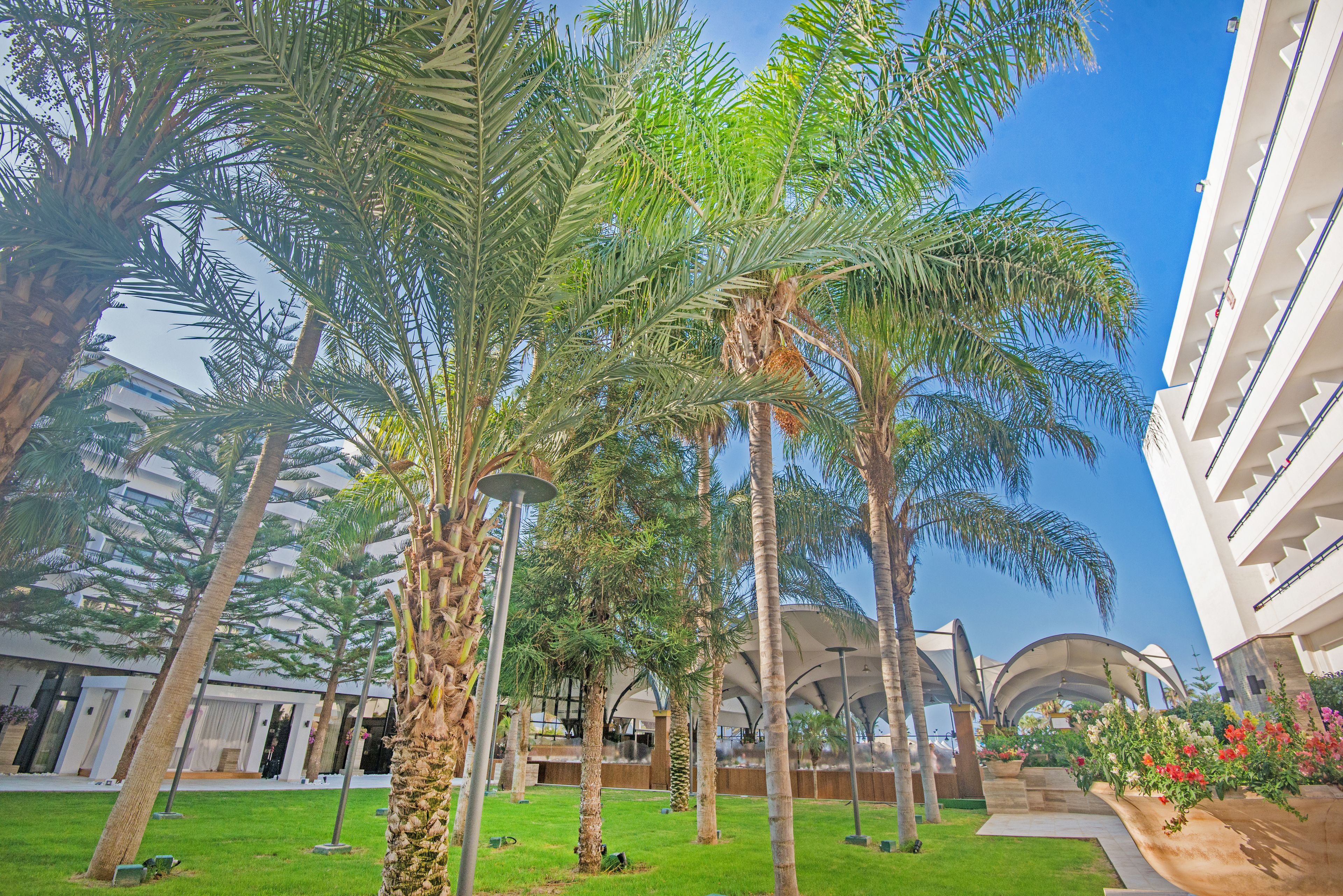 Foto - Adams Beach Hotel & Spa