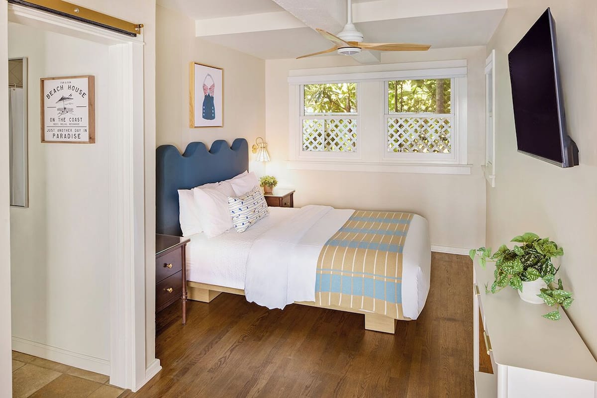 A bedroom with a bed, wooden floor, a ceiling fan, a window with a lattice, a TV, and a wall-mounted plant.