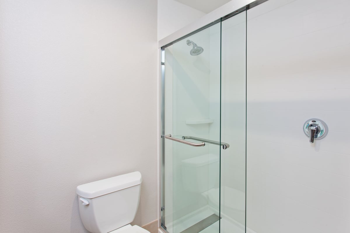 Hair dryer, towels, soap, shampoo