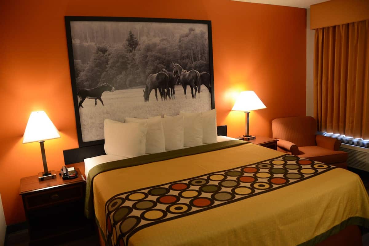A hotel room with a large bed, two bedside tables with lamps, a chair, and a painting of horses on the wall.