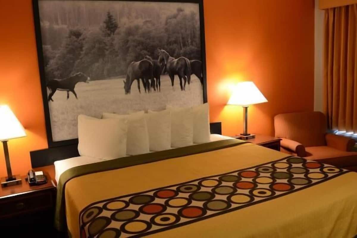 Desk, iron/ironing board, free WiFi, bed sheets